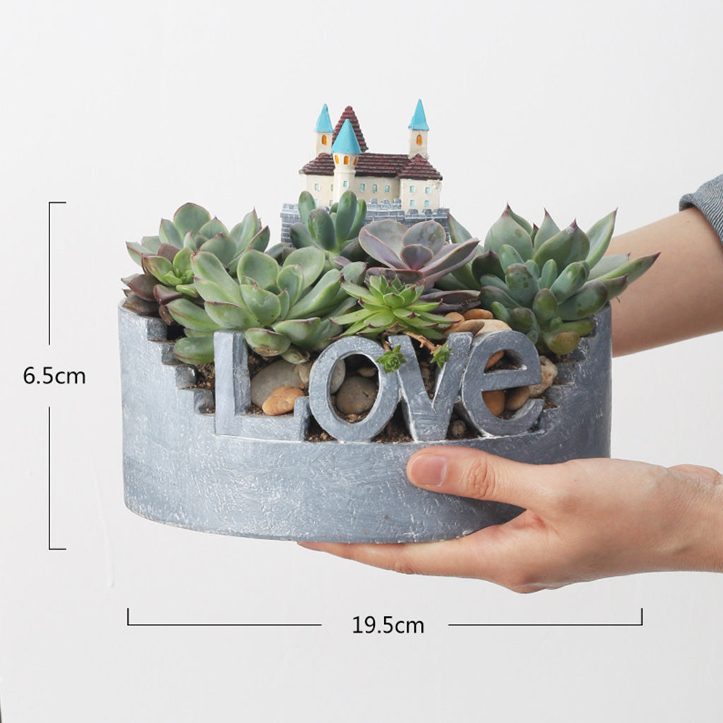  Love For Nature Resin Succulent Pot