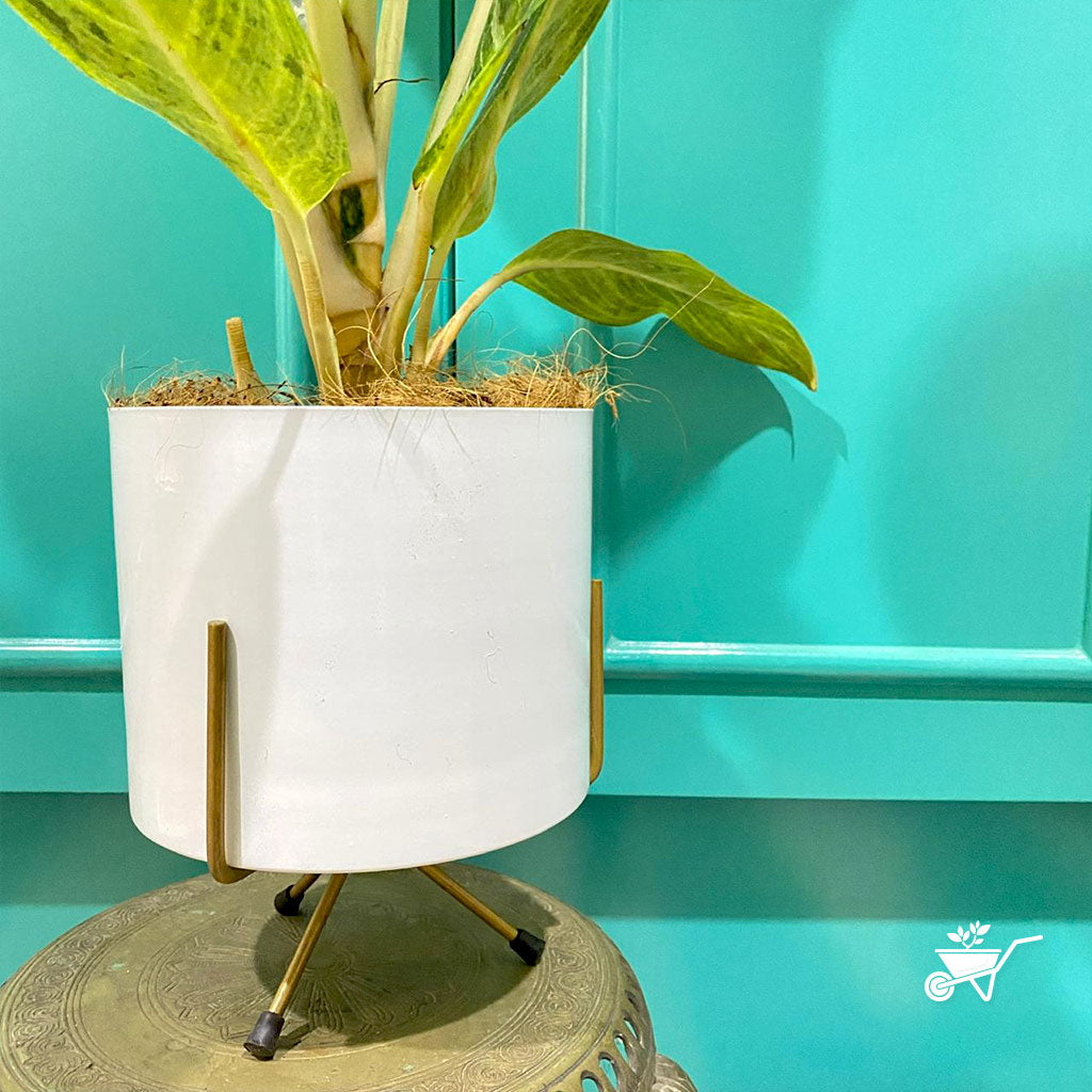  Pearl White Metal Pot With Stand