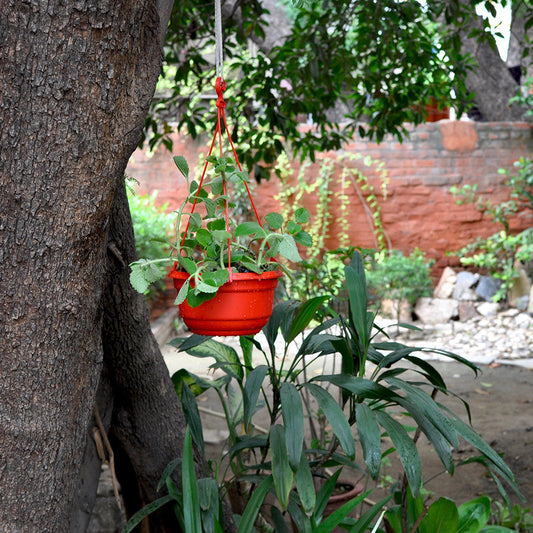  Set Of 3 : Hanging Red Pot