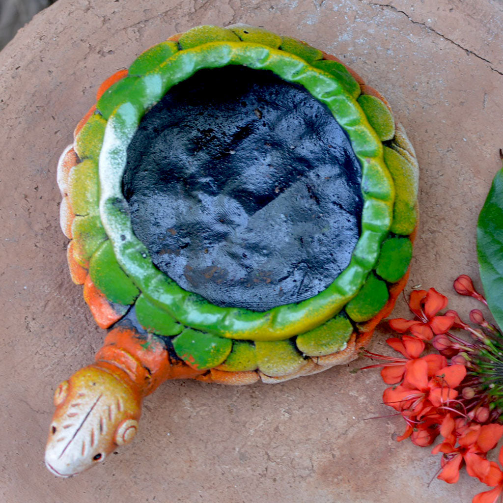  Terracotta Tortoise Succulent Planter (Mini)