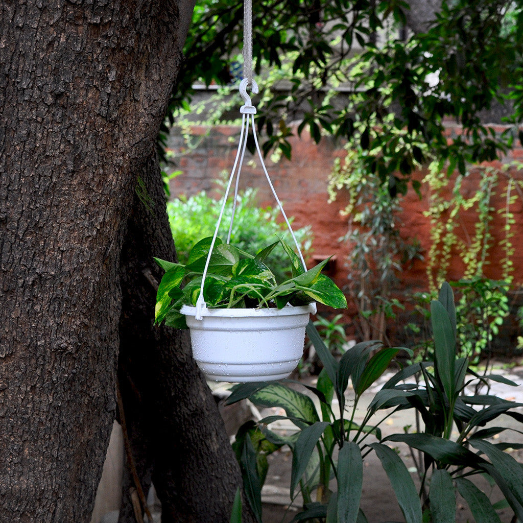  Set Of 3 : Hanging White Pot