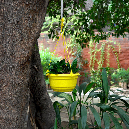  Set Of 3 : Hanging Yellow Pot